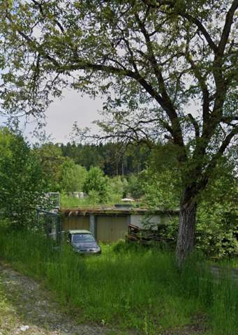 Bild zum Beitrag