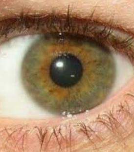Sieht meine Augenfarbe aus wie die von Google?
