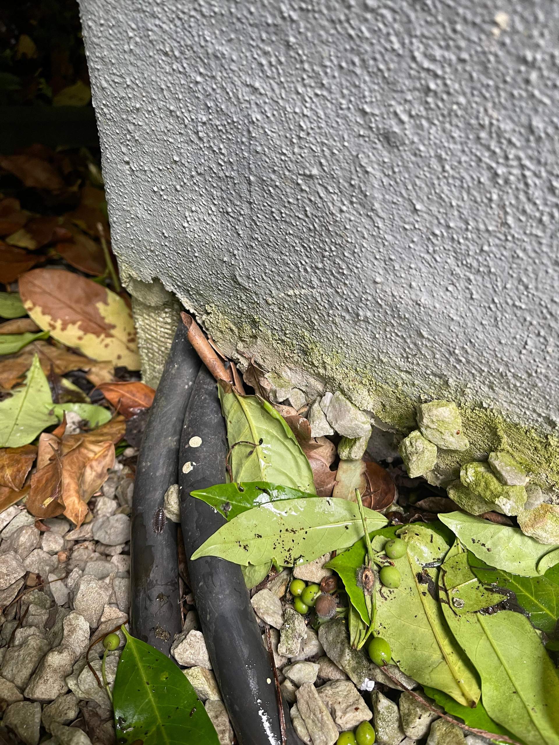 Sieht so ein APL aus? Technik,