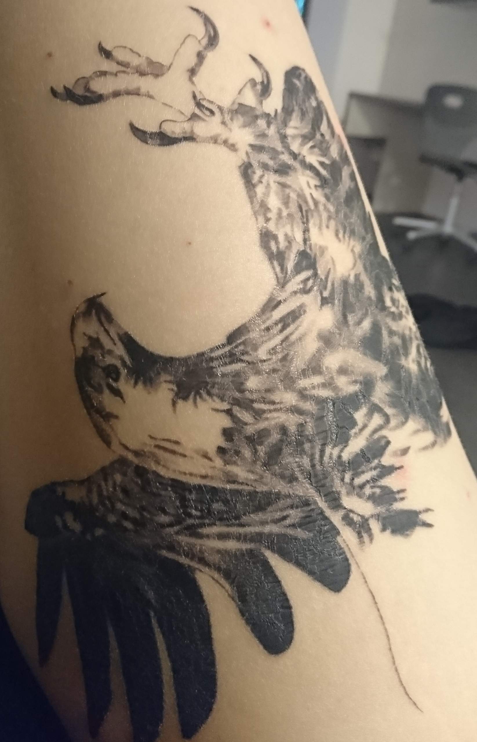 Silberhaut Tattoo? (Tattoopflege)