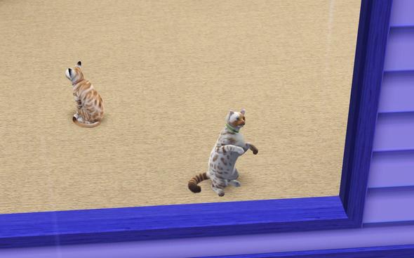 ^^ - (Tiere, Baby, Sims 3)