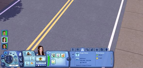 Bildschirmfoto - (Sims 3)