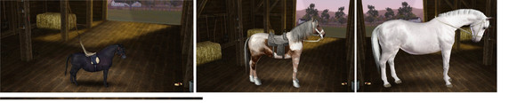 Hir alle 3 Tiere neben einander - (PC, Spiele, 3D-Modelle)
