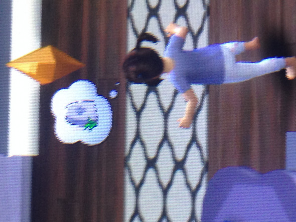 - (Computer, sims4)