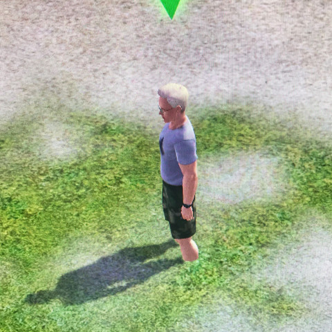 Hab schon versucht ihn durch terraforming raus zu bekommen - (Sims 3, Sims, Origin)