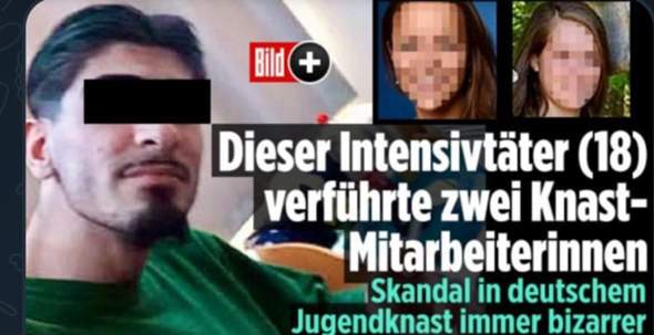 Bild zum Beitrag