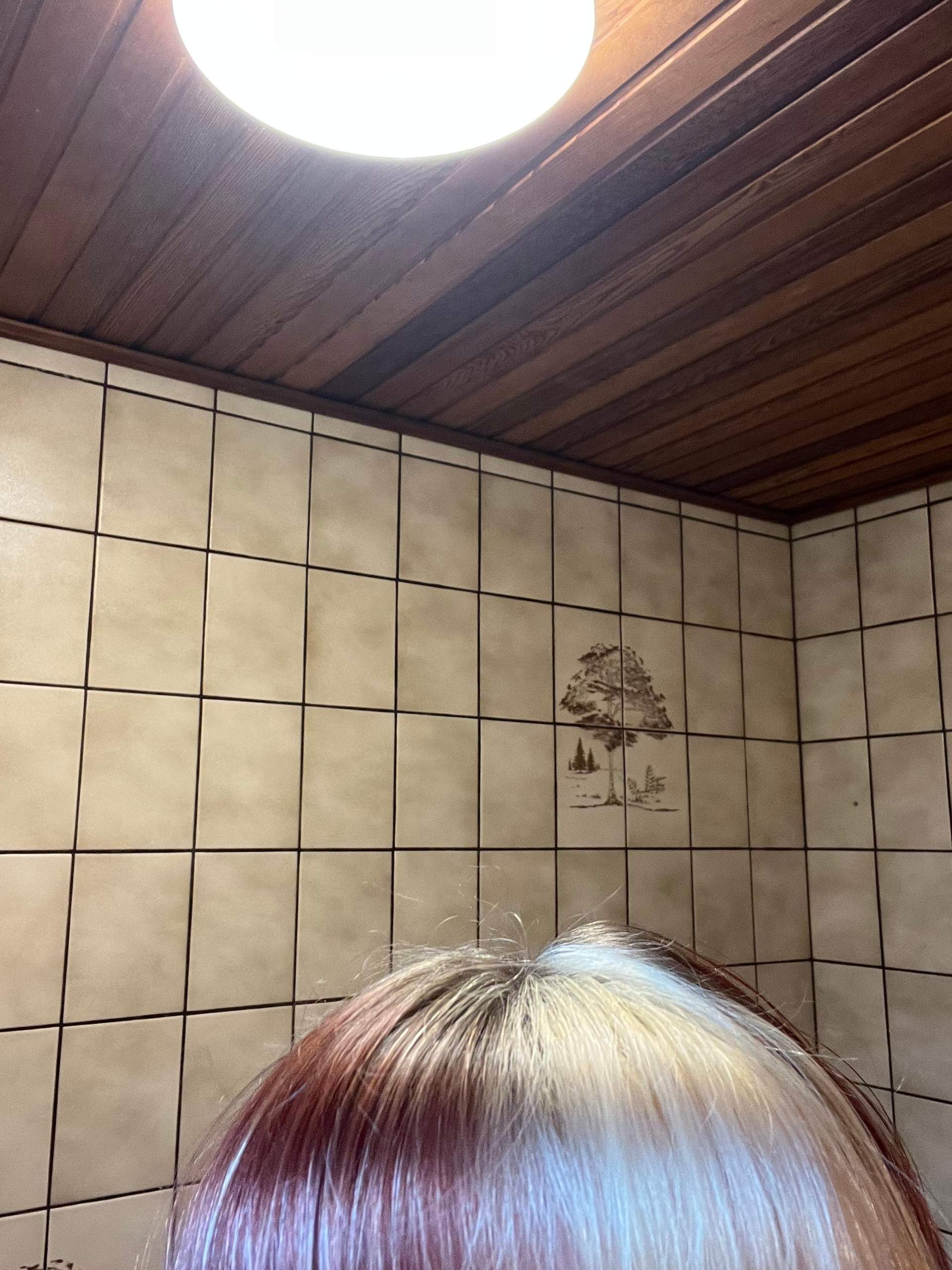 Sind das abgebrochene Haare, oder neu wachsende Haare? (Friseur, Haarfarbe, Haarpflege)
