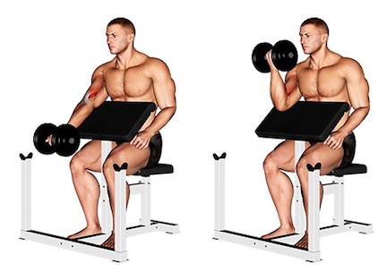 - (Sport, Sport und Fitness, Fitness)