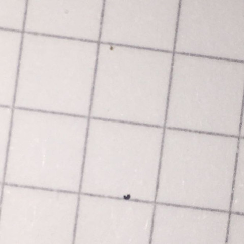 etwas anderes haare kopfhaut