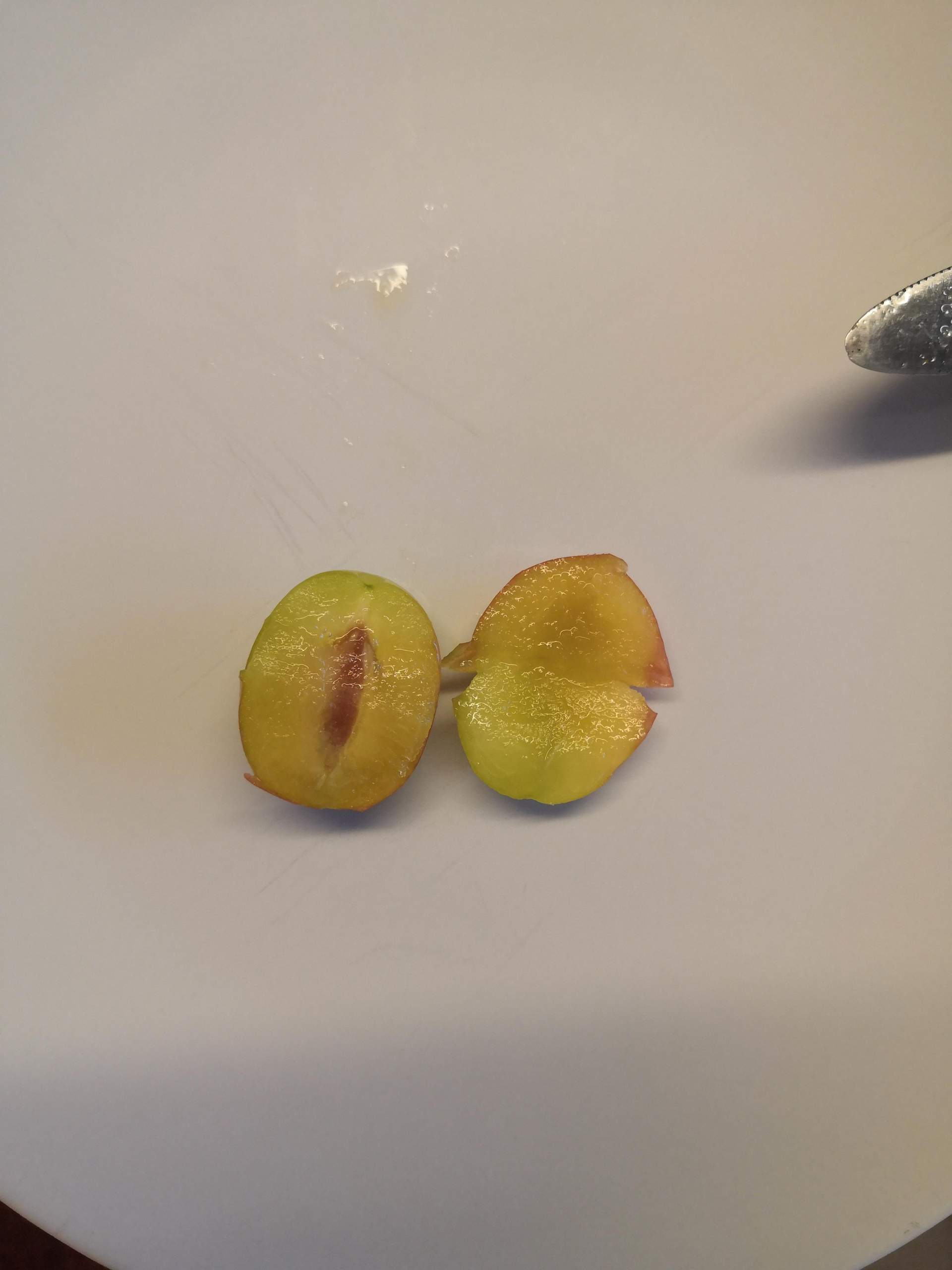 Sind das Pflaumen? (Ernährung, Pflanzen, Garten)