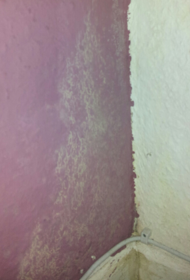 Sind das Schimmelflecken an der Wand? Bitte um Hilfe. (Schimmel