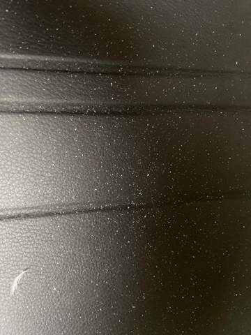 sind das schuppen auf dem foto haare