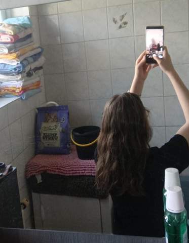 Bild zum Beitrag