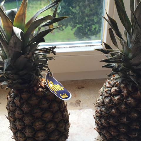 Foto von den Ananas - (Obst, Gemüse, Früchte)