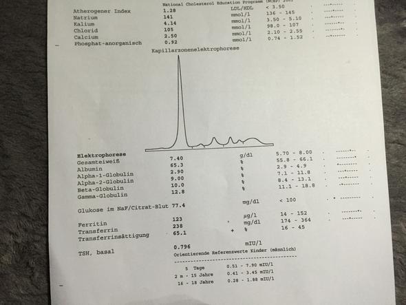 Sind die Blutwerte ok oder stimmt etwas nicht? :-/ (Blutbild)