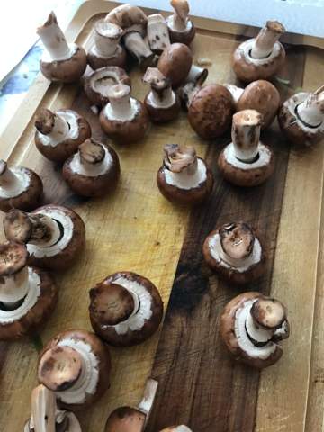 Sind Die Champignons Noch Gut Oder Schlecht Essen Kochen Sind Die Champignons Noch Gut Oder Schlecht Essen Kochen