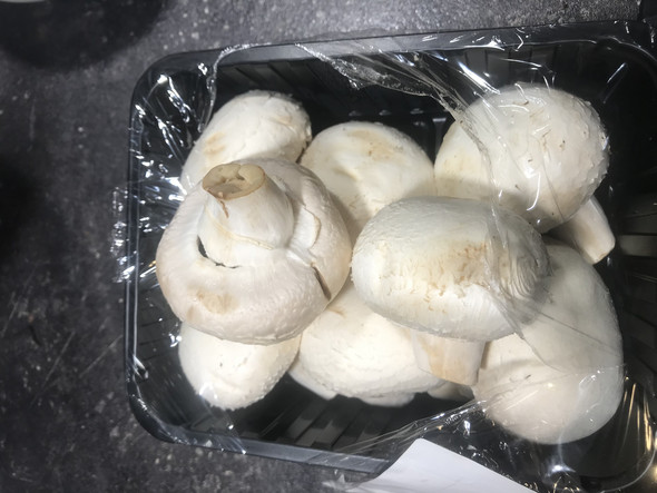 Sind Die Champignons Schlecht Essen Sind Die Champignons Schlecht Essen
