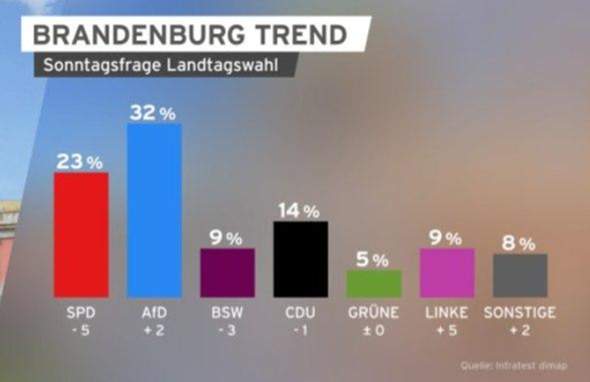 Bild zum Beitrag