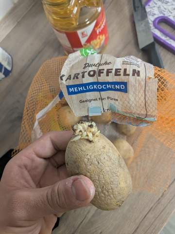 Bild zum Beitrag
