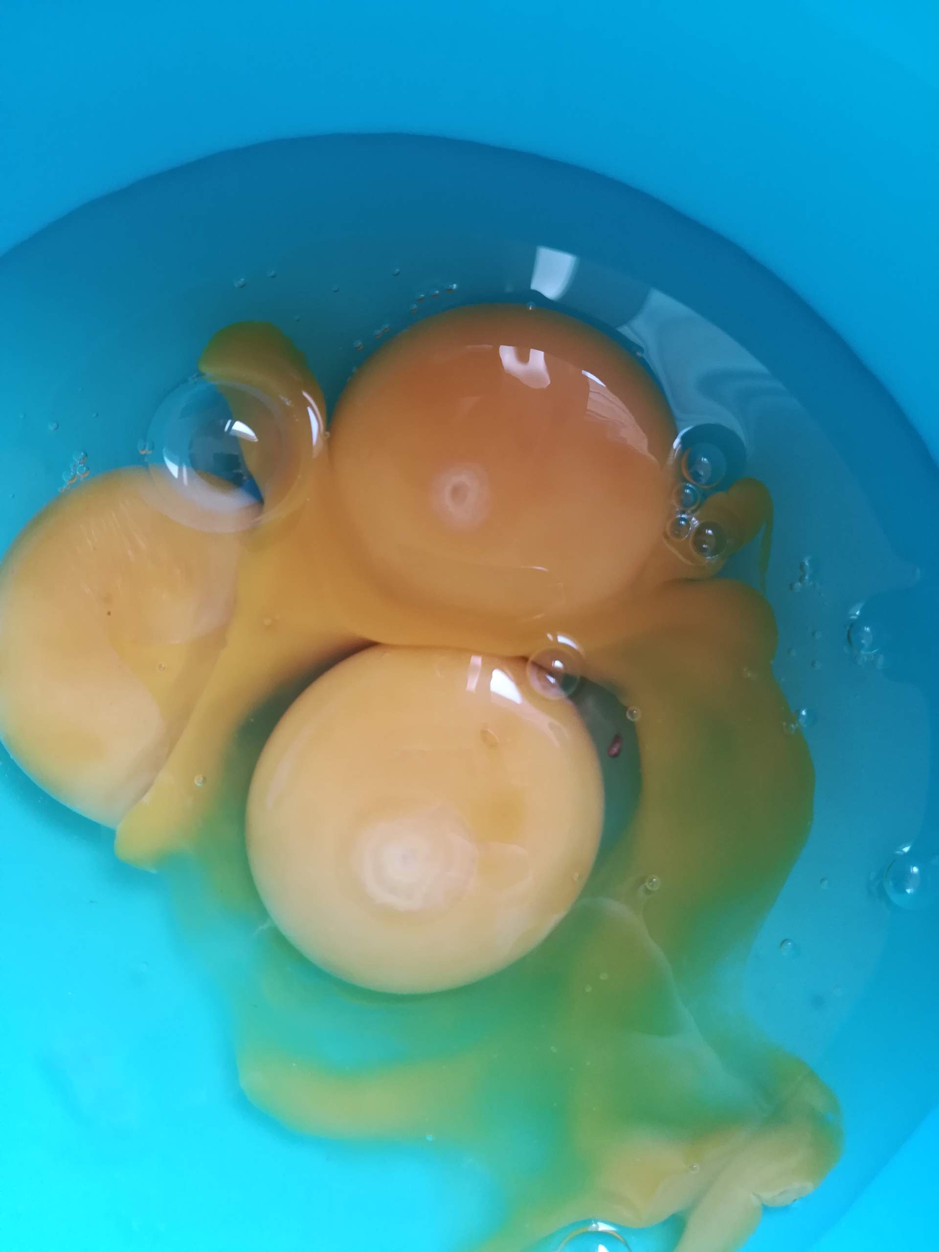 Sind die Punkte im Eigelb normal? (kochen, backen, Eier)