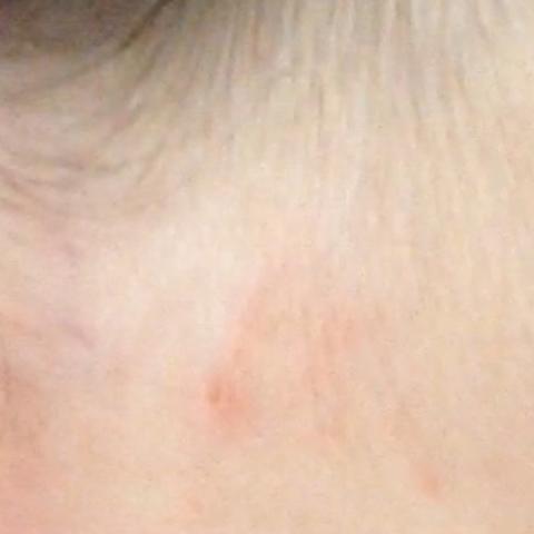 Bisse Die Meistgelesenen Fragen