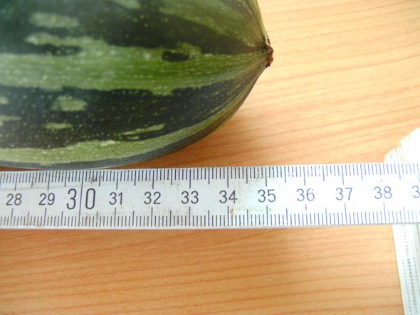 Sind Die Samen In Einer 35cm Zucchini Schon Reif Garten