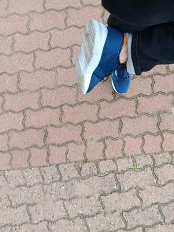 Bild zum Beitrag
