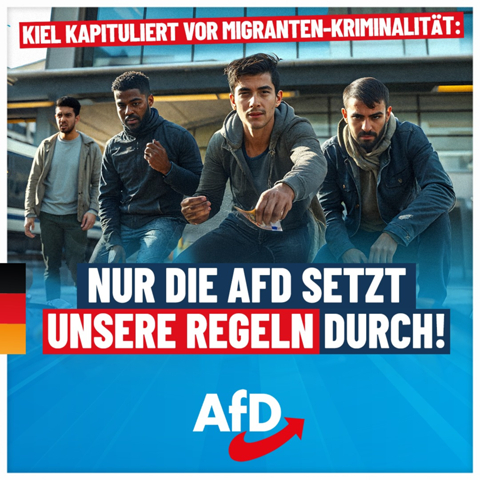 Bild zum Beitrag