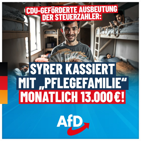 Bild zum Beitrag