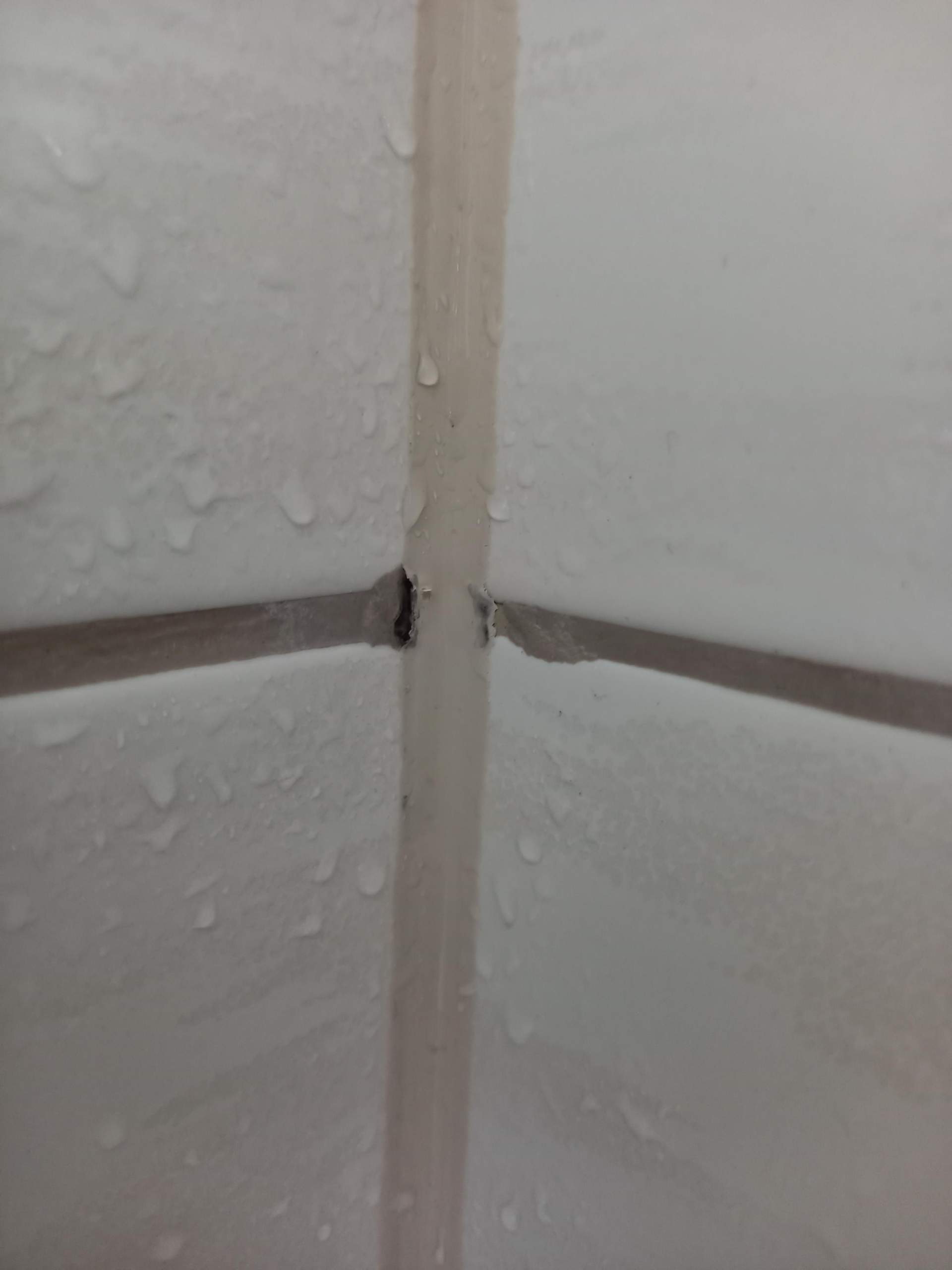 Sind diese Fugen noch dicht? Wie bekommt man den Schimmel weg? (putzen, Dusche, Fliesen)