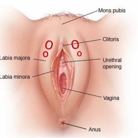 Sind Diese Knubbel In Den Schamlippen Normal Mit Bild Gesundheit Und Medizin Sind Diese Knubbel In Den Schamlippen Normal Mit Bild Gesundheit Und Medizin