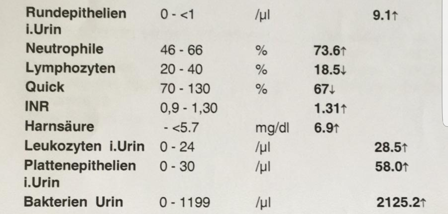 Plattenepithelien urin harnbefund