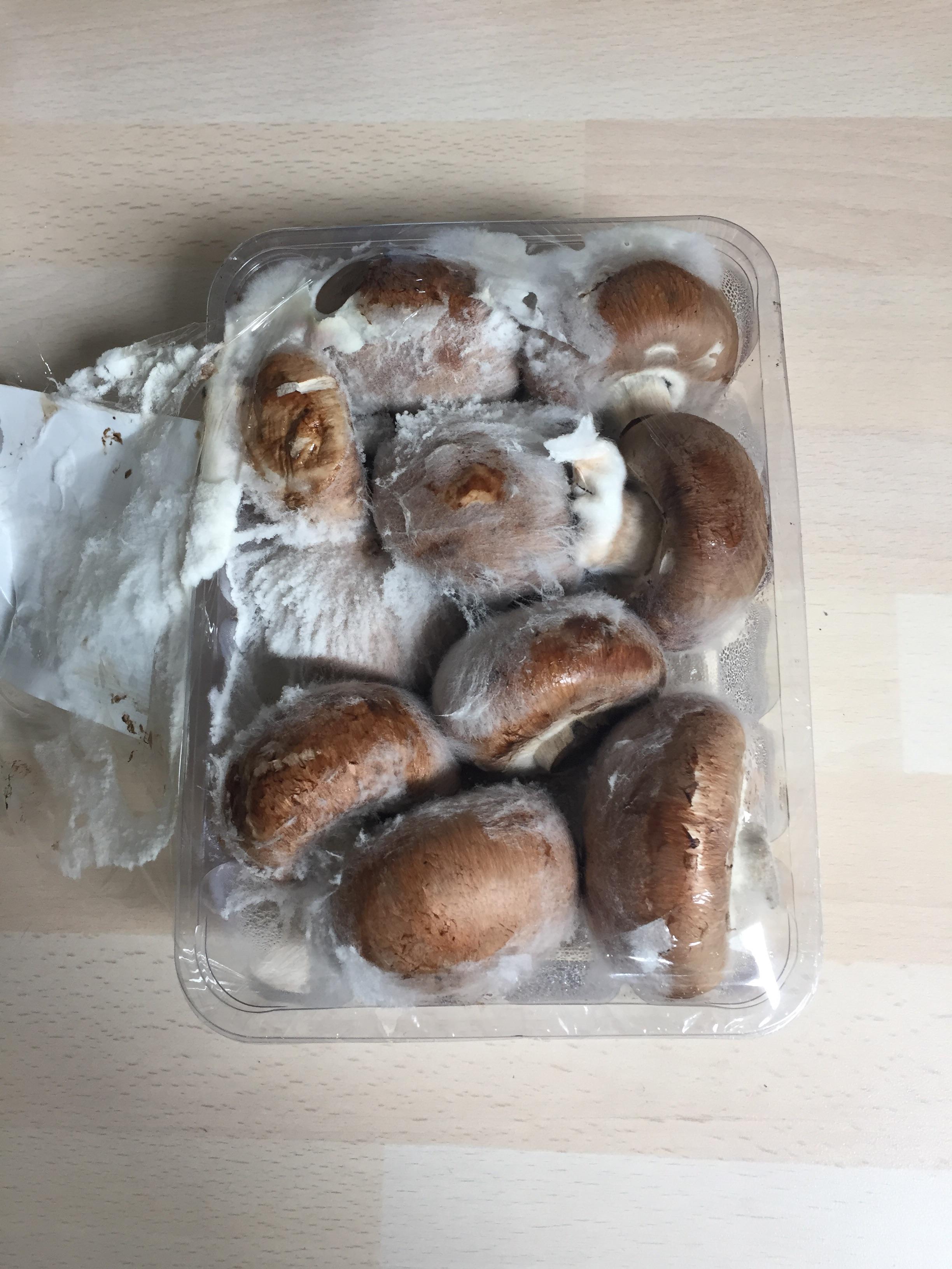 Get Giftige Pilze Nicht Essbare Pilze Images