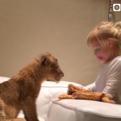 Kleines Kind mit Löwenbaby - (Gesundheit, Tiere, Löwe)