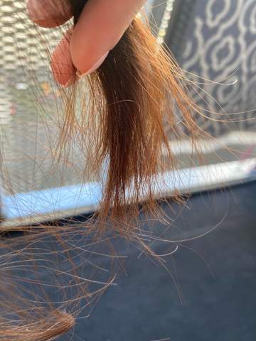 sind meine haare gesund haarpflege