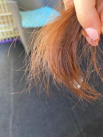 sind meine haare gesund haarpflege