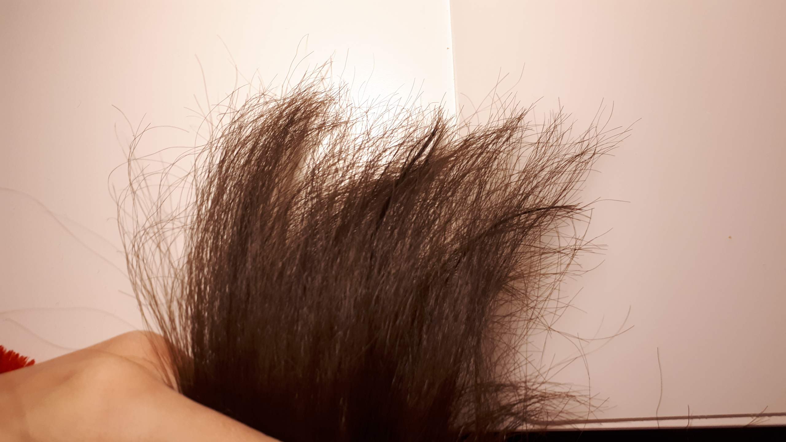 Wie Sehen Kaputte Haare Aus Sind meine Haare kaputt/Was tun dagegen? (Beauty, Pflege, Frisur)