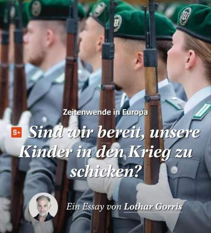 Bild zum Beitrag