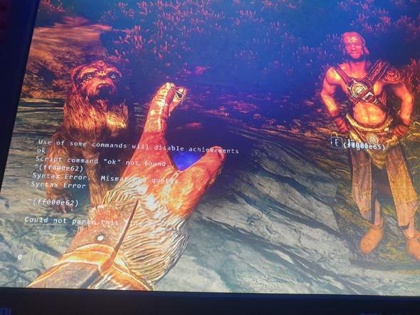 Skyrim command console weg tun?