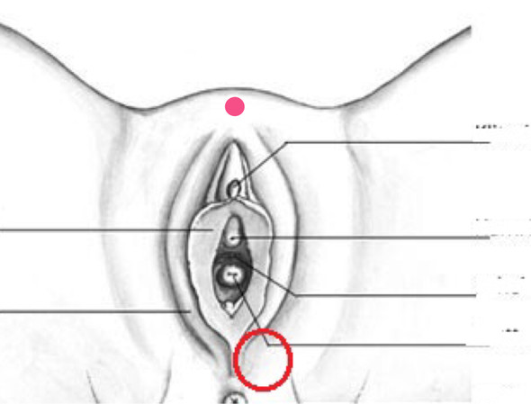 34+ Pickel Mit Hartem Kern Intimbereich Pictures