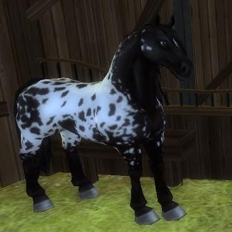 Jetzt auto kaufen Jetzt auto kaufen