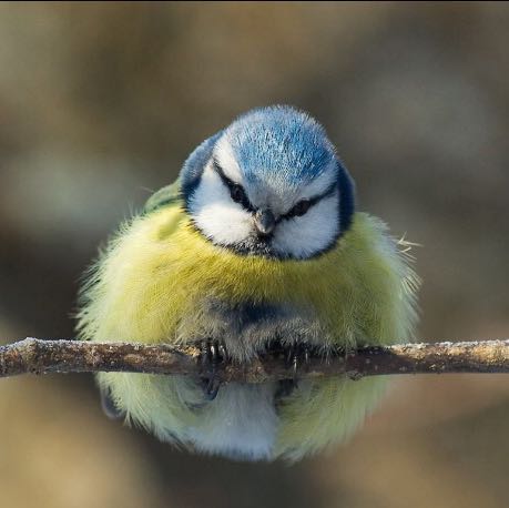 Soll ich sie fragen was das zwischen uns ist Soll ich sie fragen was das zwischen uns ist