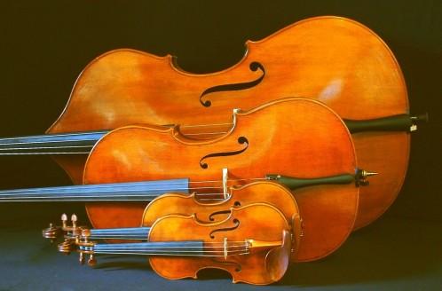 Geige oder Kontrabass? - (Musik, Instrument, Musikinstrumente)