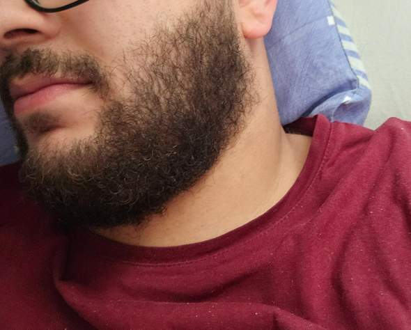Bild zum Beitrag
