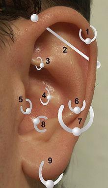 piercing arten am ohr . tragus ist diee nummer 5 - (Junge, Piercing)