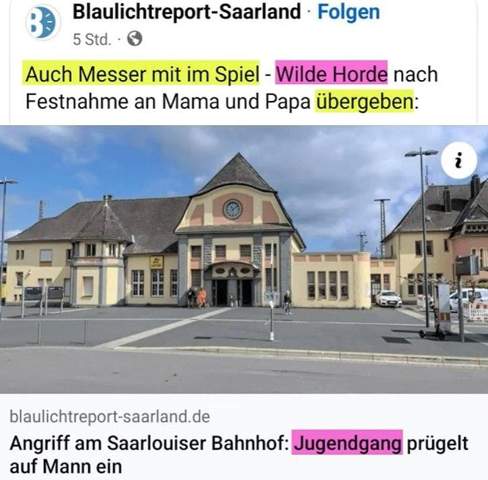 Bild zum Beitrag