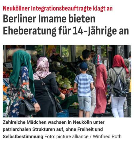 Bild zum Beitrag