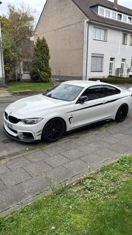 Bild zum Beitrag