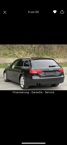 Bild zum Beitrag