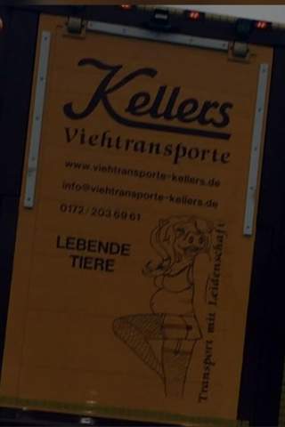Bild zum Beitrag
